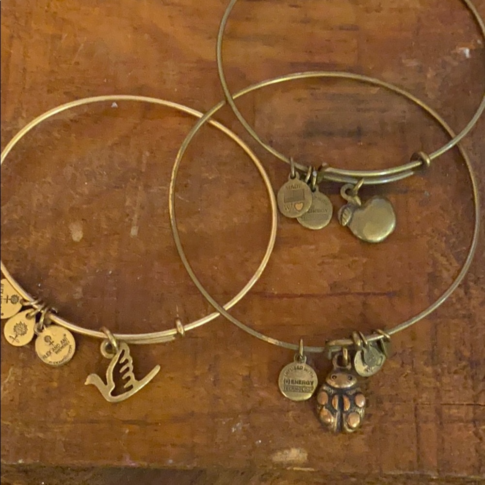 Three pack Alex and ani Bangle bracelets